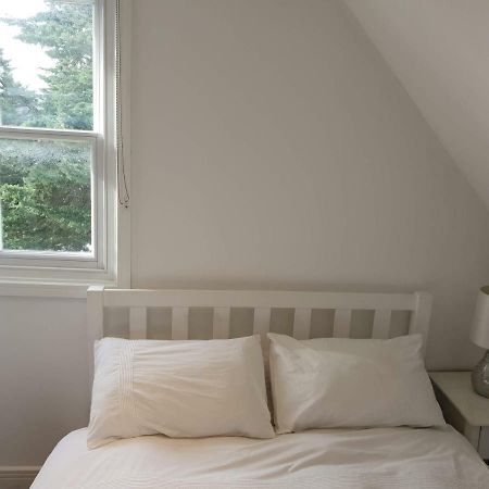 Central Windsor Apartments المظهر الخارجي الصورة